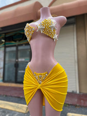 Embellished Bikini W Skirt