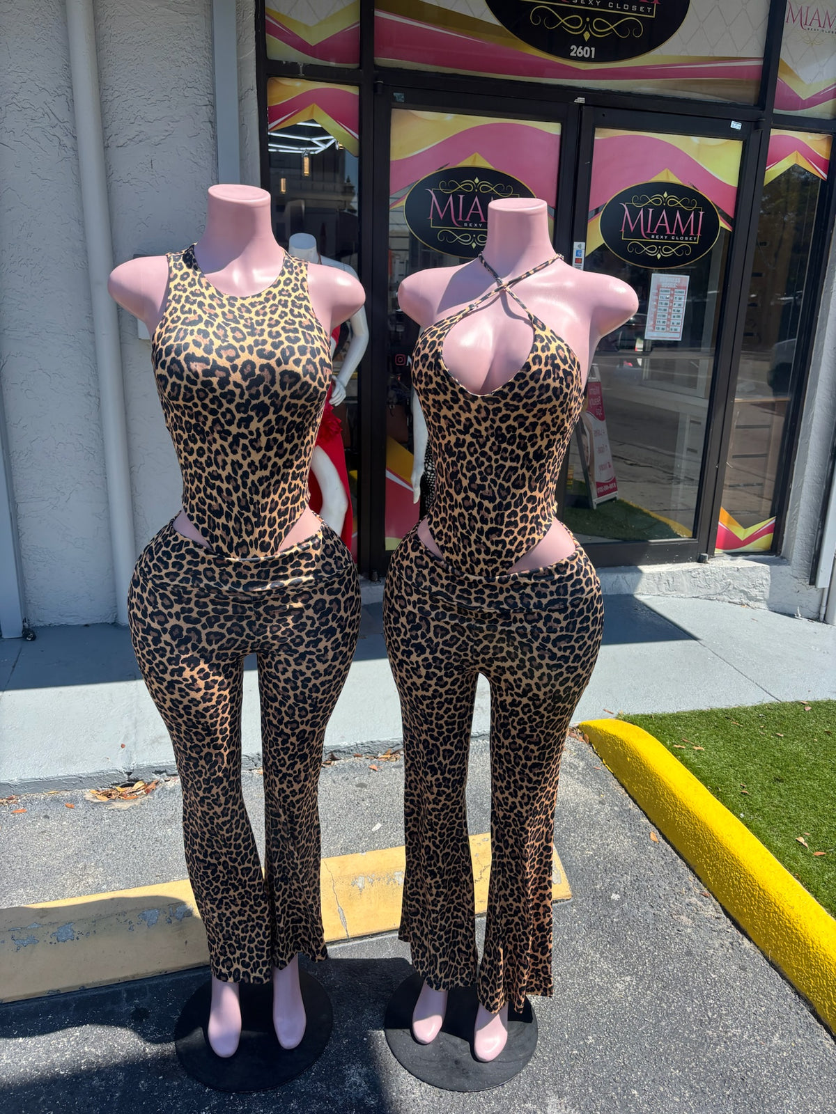 Rawr Bodysuit Pant Set