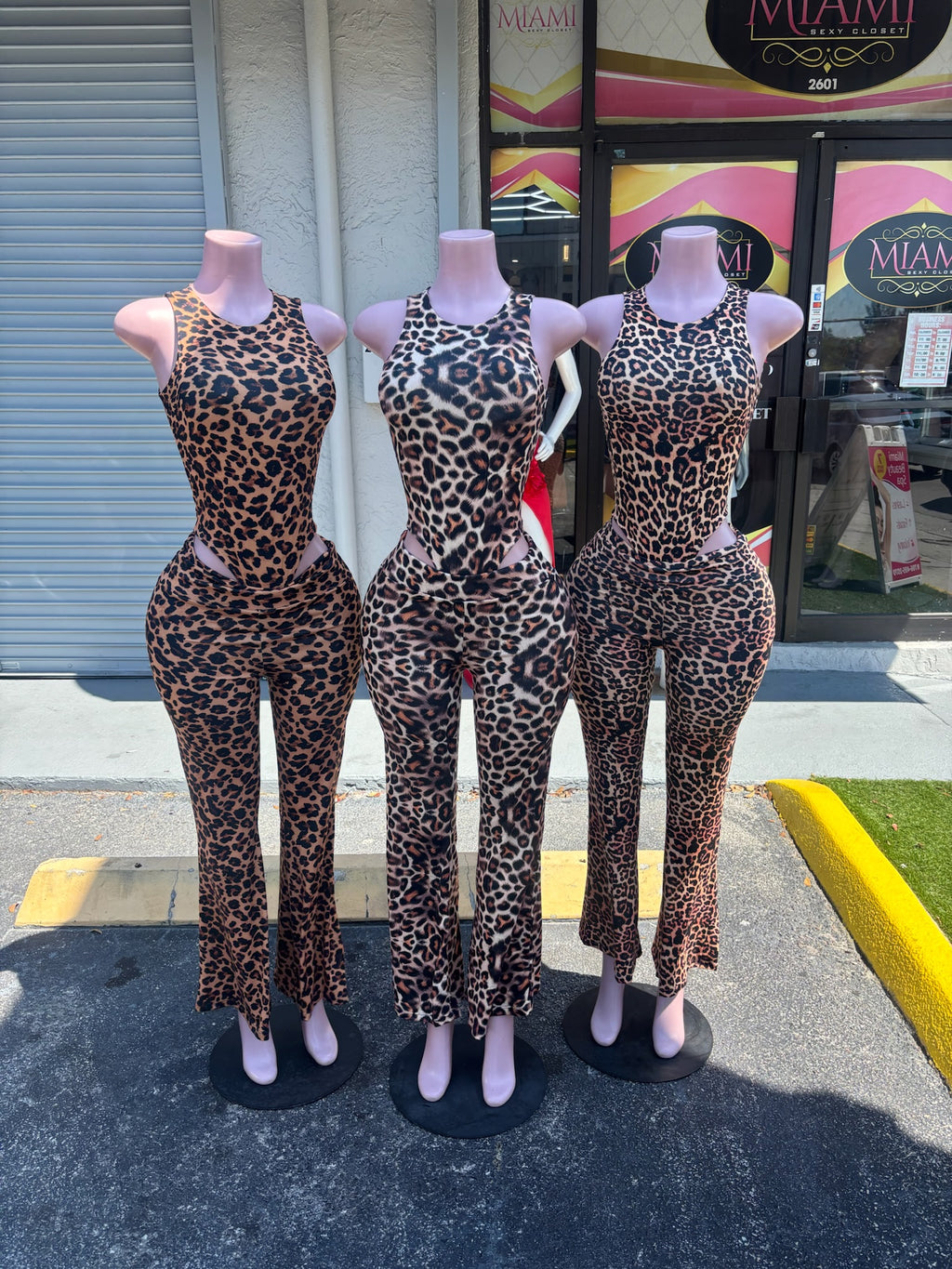Rawr Bodysuit Pant Set