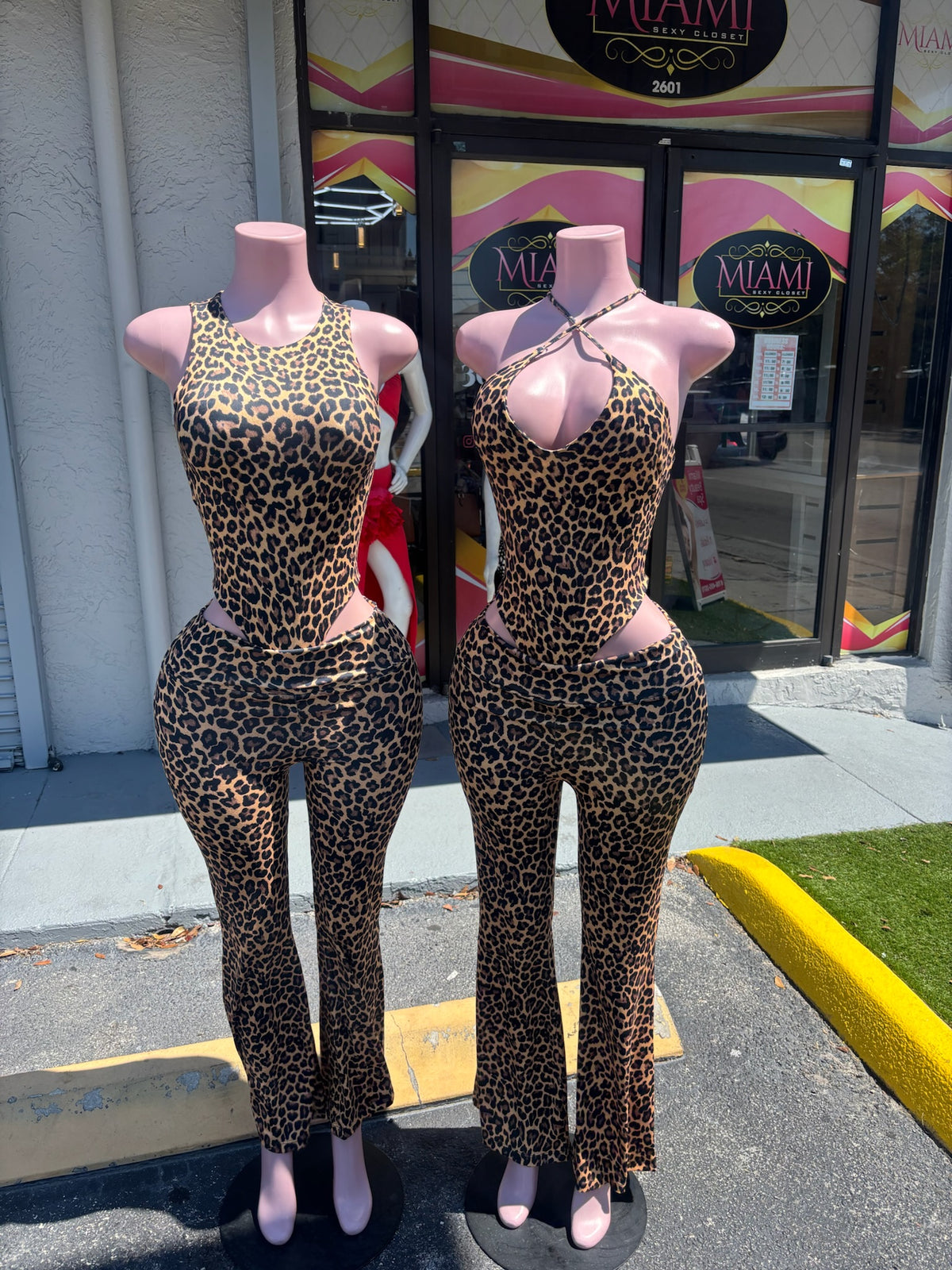 Rawr Bodysuit Pant Set