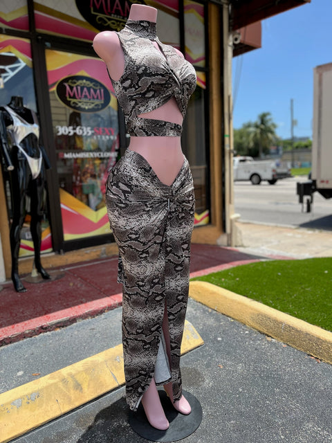 Snake Skirt Set