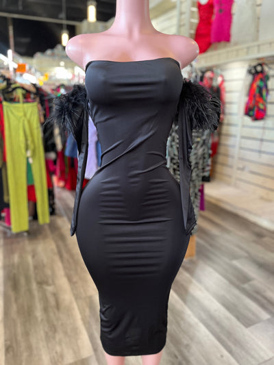 Long Feather Sleeve Dress