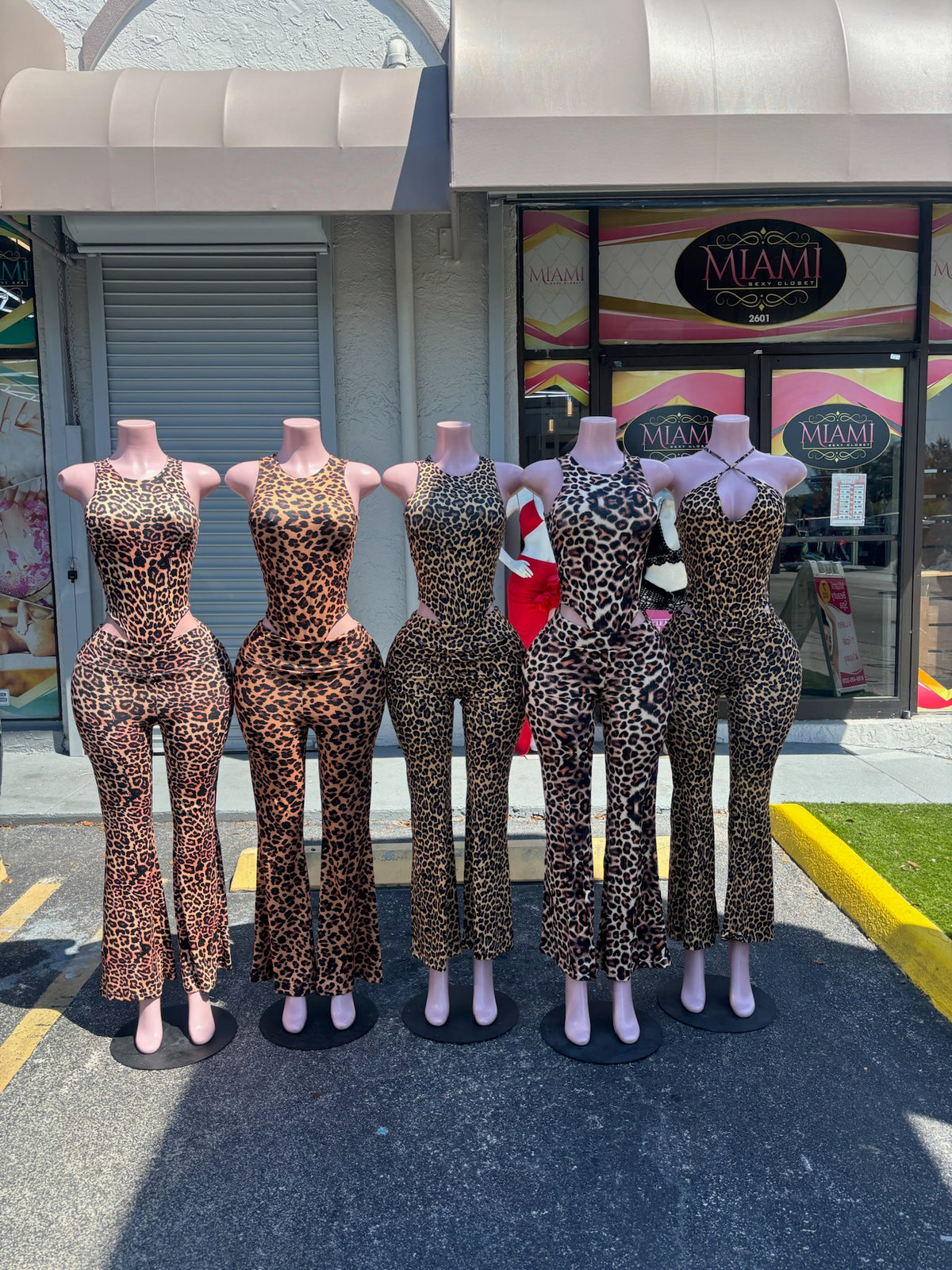 Rawr Bodysuit Pant Set