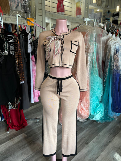 Tan Elegant Dress Up Pant Set