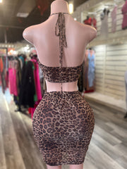 Sexy Leopard Skirt Set