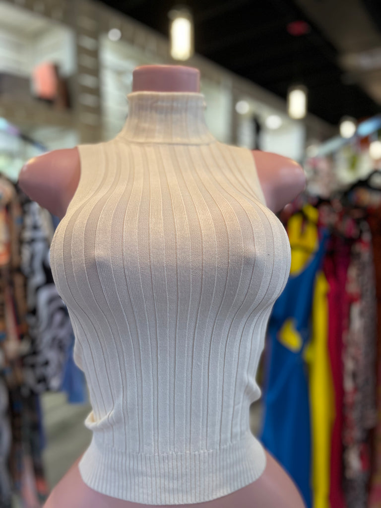 Turtle Neck Top