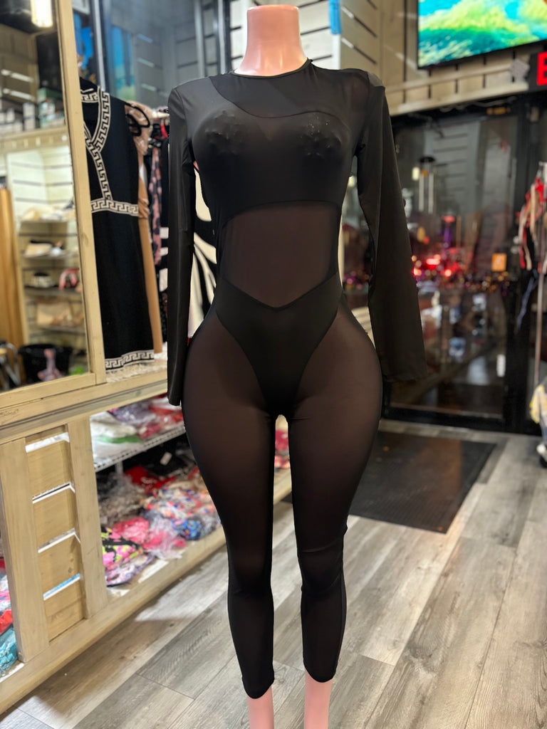 See Thru Jumpsuit