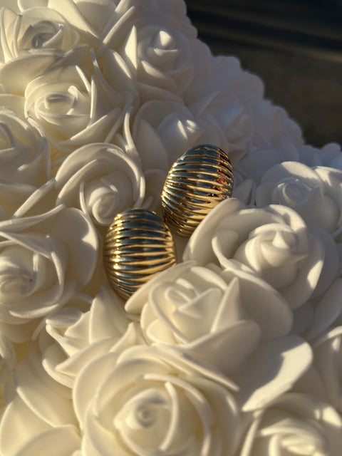 Shell Earrings