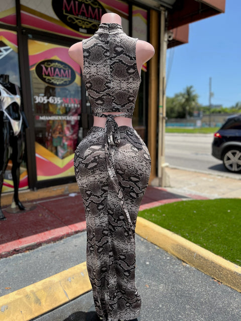 Snake Skirt Set