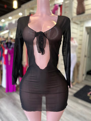 Mesh Long Sleeve Cover Up Dress