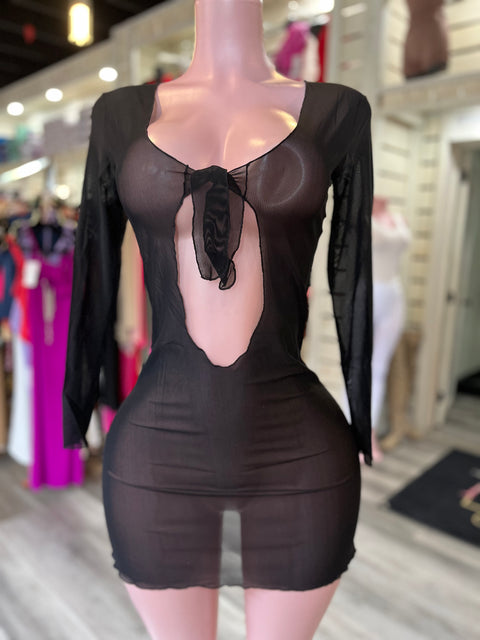 Mesh Long Sleeve Cover Up Dress