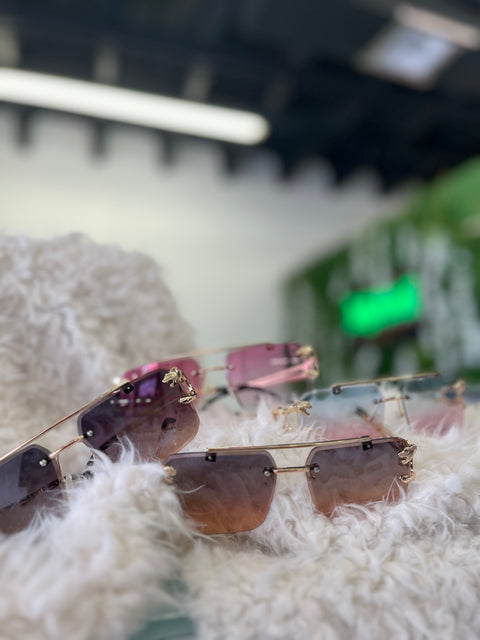 Rawr Sunglasses