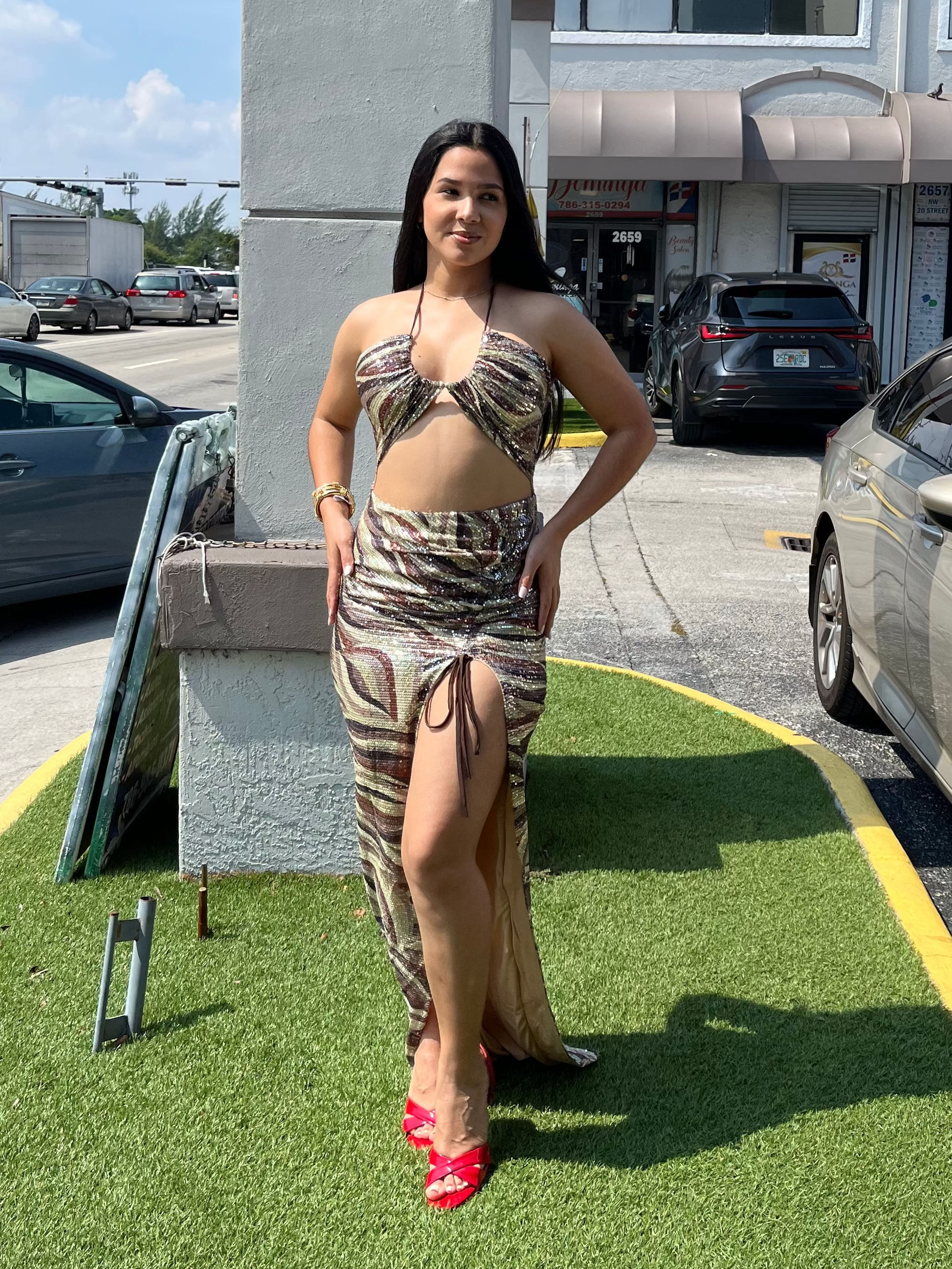 Sexy Dress Shine