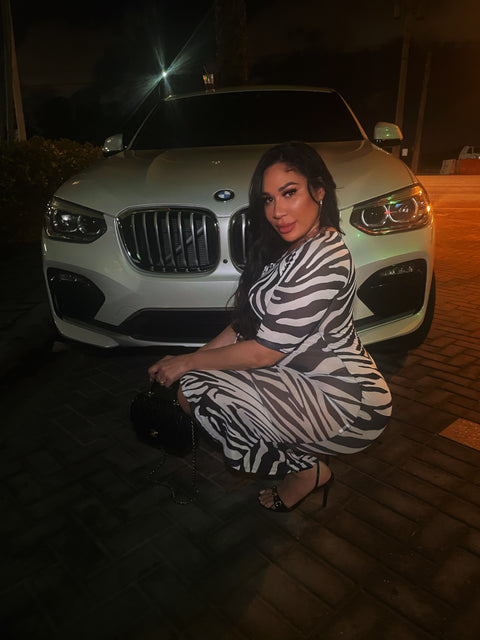 Mesh Animal Print Dress