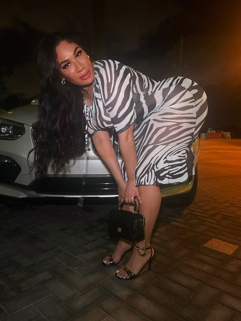 Mesh Animal Print Dress