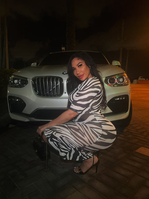 Mesh Animal Print Dress