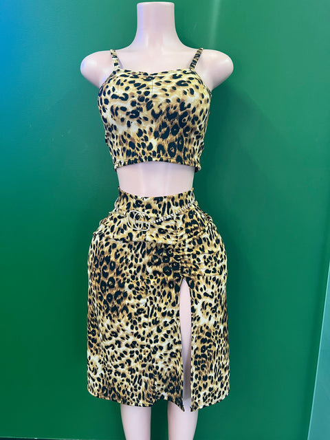Cheetah 2 piece